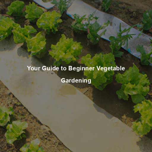 Your Guide to Beginner Vegetable Gardening