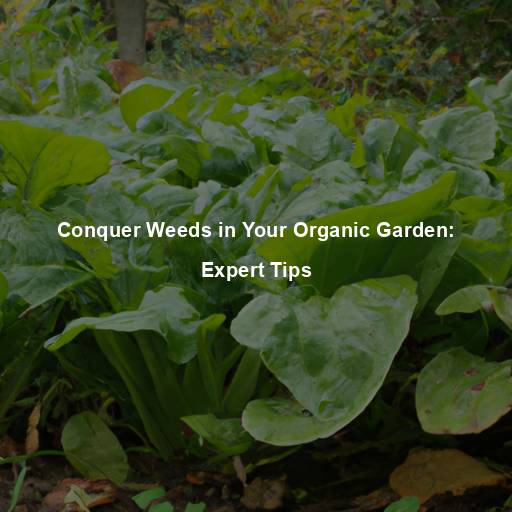 Conquer Weeds in Your Organic Garden: Expert Tips