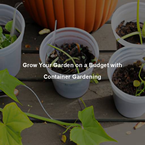 Grow Your Garden on a Budget with Container Gardening