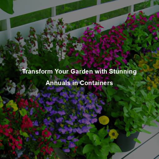 Transform Your Garden with Stunning Annuals in Containers