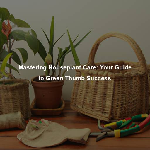 Mastering Houseplant Care: Your Guide to Green Thumb Success