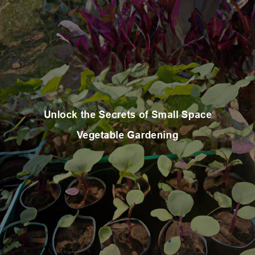 Unlock the Secrets of Small Space Vegetable Gardening