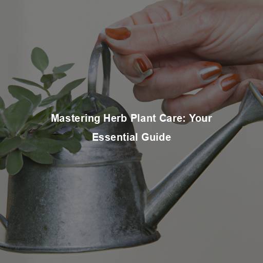 Mastering Herb Plant Care: Your Essential Guide
