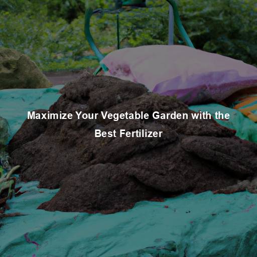 Maximize Your Vegetable Garden with the Best Fertilizer