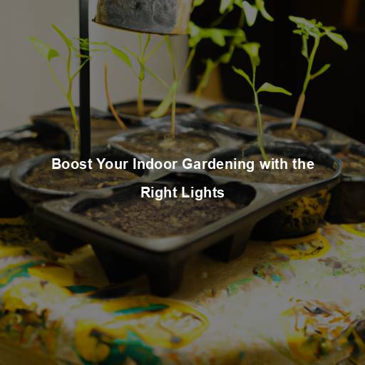 Boost Your Indoor Gardening with the Right Lights