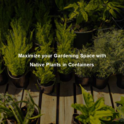 Maximize your Gardening Space with Native Plants in Containers