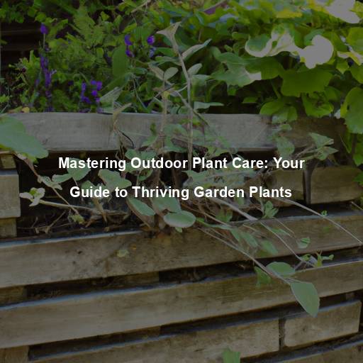 Mastering Outdoor Plant Care: Your Guide to Thriving Garden Plants