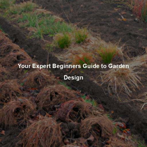 Your Expert Beginners Guide to Garden Design