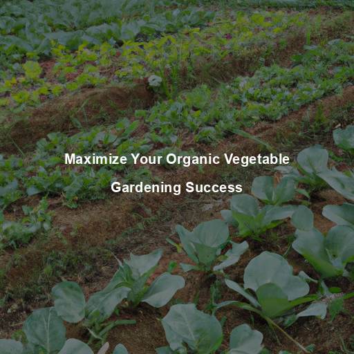 Maximize Your Organic Vegetable Gardening Success