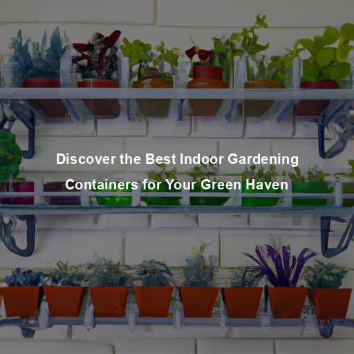 Discover the Best Indoor Gardening Containers for Your Green Haven