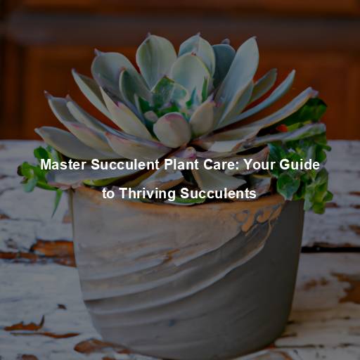 Master Succulent Plant Care: Your Guide to Thriving Succulents