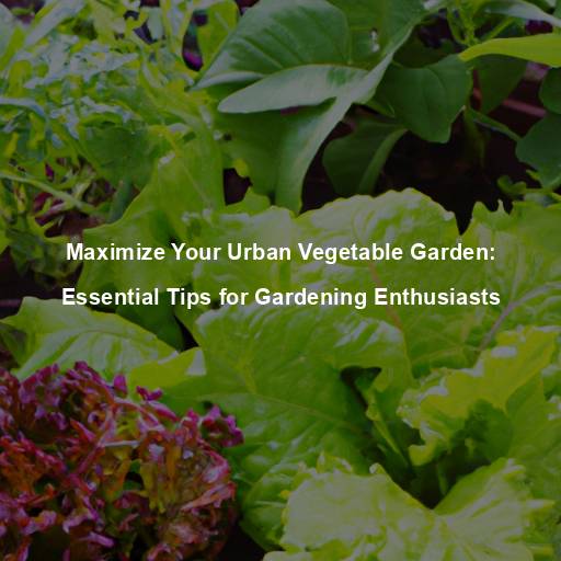 Maximize Your Urban Vegetable Garden: Essential Tips for Gardening Enthusiasts