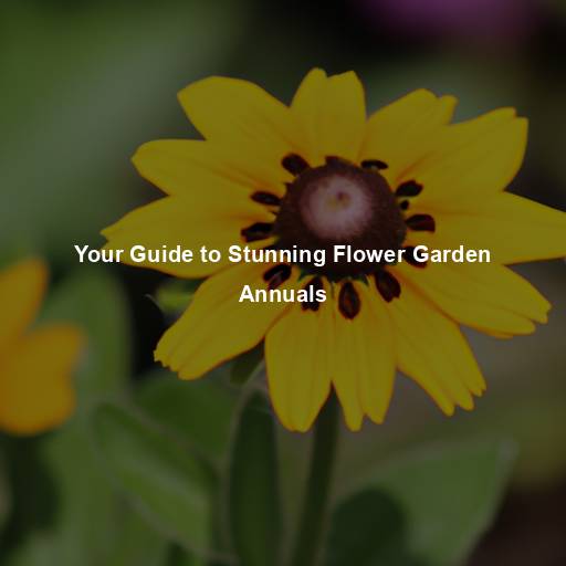 Your Guide to Stunning Flower Garden Annuals