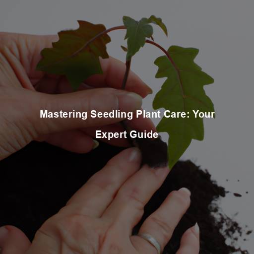 Mastering Seedling Plant Care: Your Expert Guide