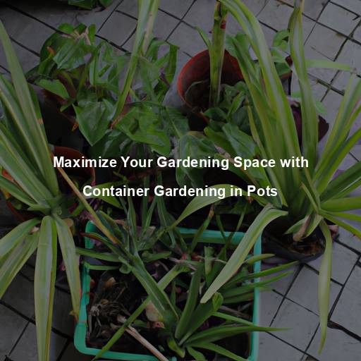 Maximize Your Gardening Space with Container Gardening in Pots