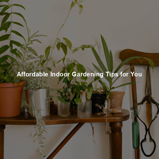 Affordable Indoor Gardening Tips for You