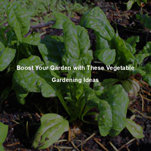 Boost Your Garden with These Vegetable Gardening Ideas