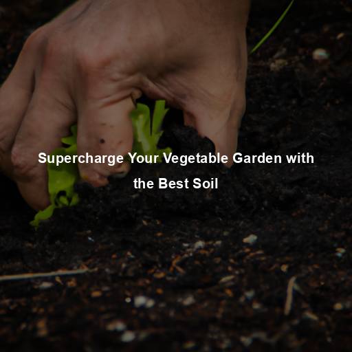 Supercharge Your Vegetable Garden with the Best Soil