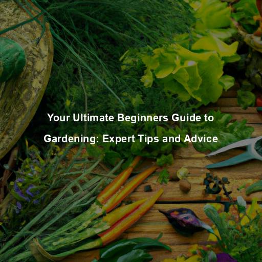 Your Ultimate Beginners Guide to Gardening: Expert Tips and Advice