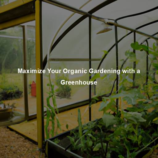 Maximize Your Organic Gardening with a Greenhouse
