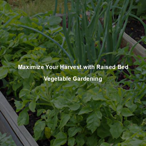 Maximize Your Harvest with Raised Bed Vegetable Gardening