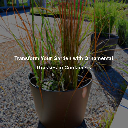 Transform Your Garden with Ornamental Grasses in Containers