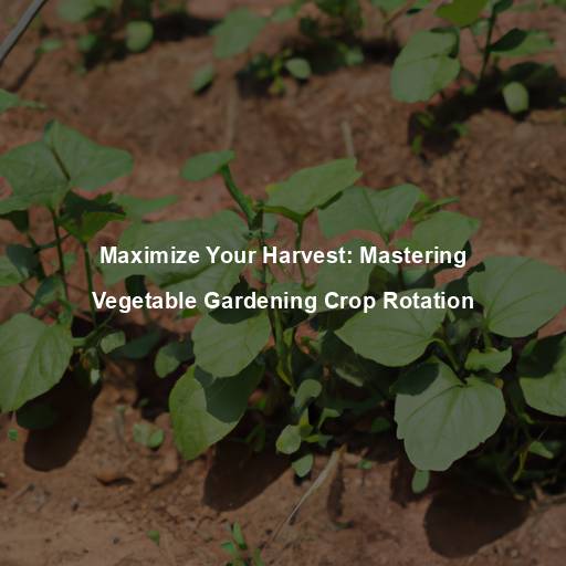 Maximize Your Harvest: Mastering Vegetable Gardening Crop Rotation