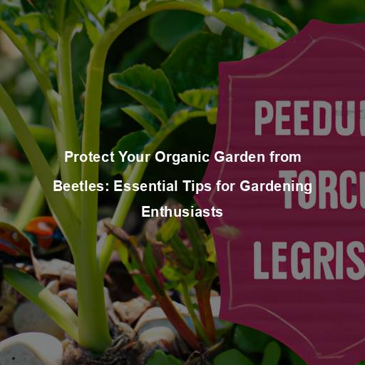 Protect Your Organic Garden from Beetles: Essential Tips for Gardening Enthusiasts