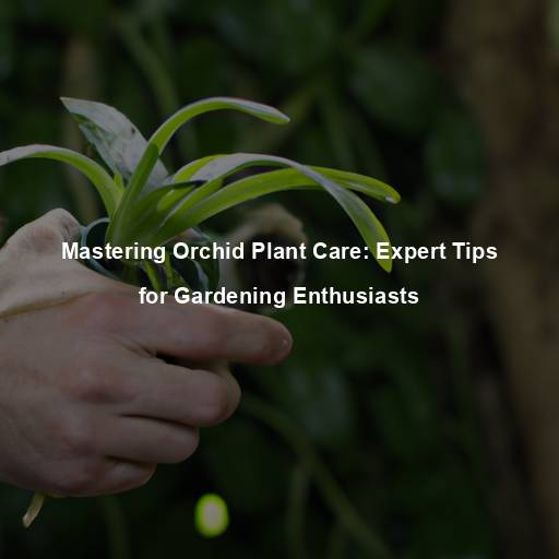 Mastering Orchid Plant Care: Expert Tips for Gardening Enthusiasts