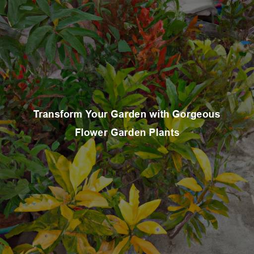 Transform Your Garden with Gorgeous Flower Garden Plants