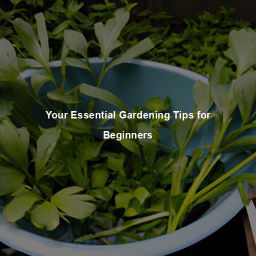 Your Essential Gardening Tips for Beginners