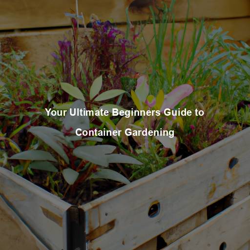 Your Ultimate Beginners Guide to Container Gardening