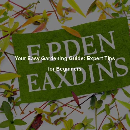 Your Easy Gardening Guide: Expert Tips for Beginners