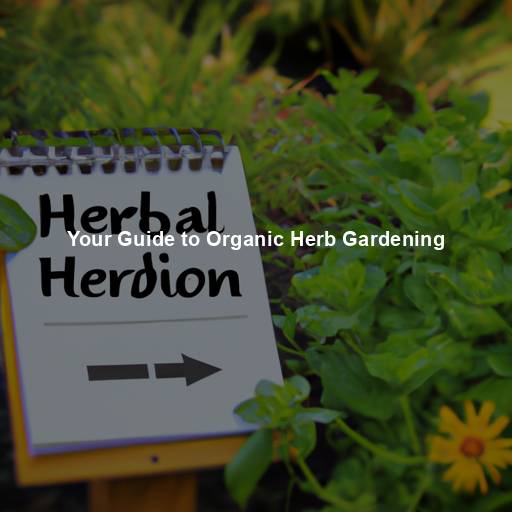 Your Guide to Organic Herb Gardening