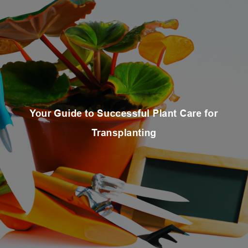 Your Guide to Successful Plant Care for Transplanting