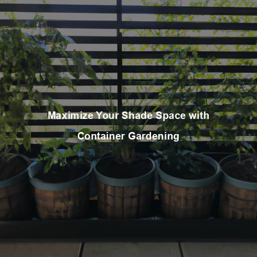 Maximize Your Shade Space with Container Gardening