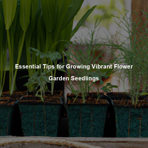 Essential Tips for Growing Vibrant Flower Garden Seedlings