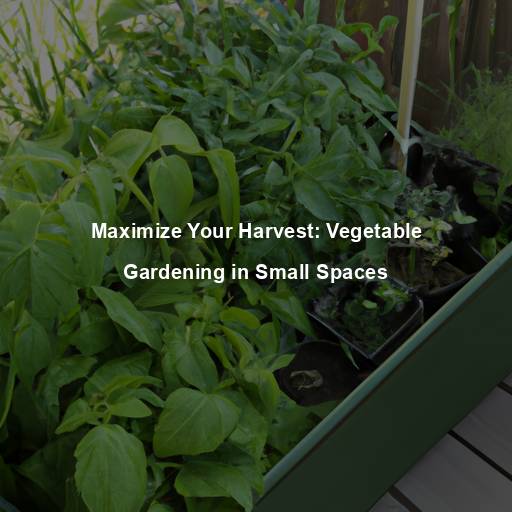Maximize Your Harvest: Vegetable Gardening in Small Spaces