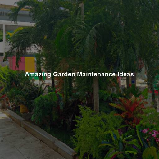 Amazing Garden Maintenance Ideas
