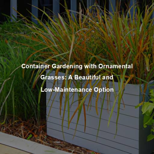 Container Gardening with Ornamental Grasses: A Beautiful and Low-Maintenance Option