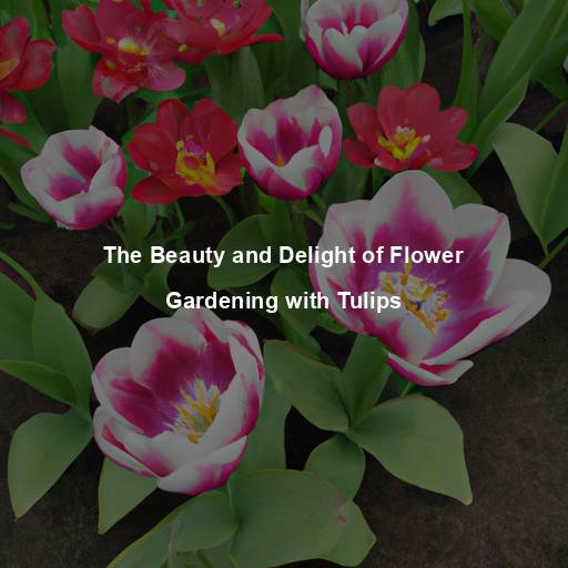 The Beauty and Delight of Flower Gardening with Tulips