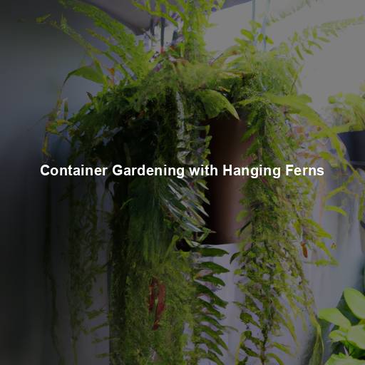 Container Gardening with Hanging Ferns