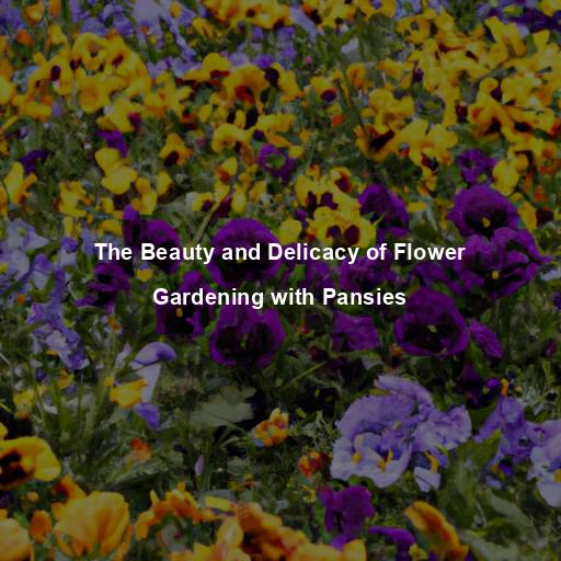 The Beauty and Delicacy of Flower Gardening with Pansies