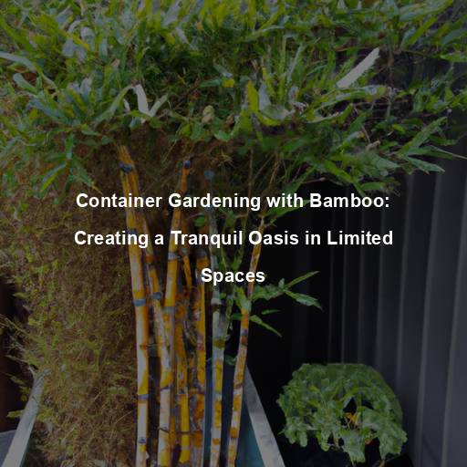 Container Gardening with Bamboo: Creating a Tranquil Oasis in Limited Spaces