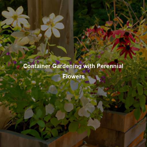Container Gardening with Perennial Flowers