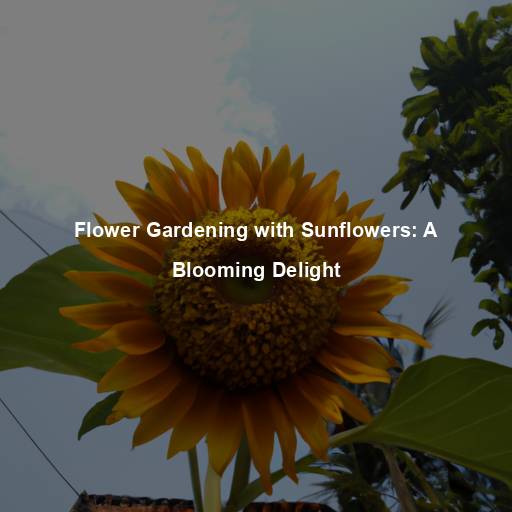 Flower Gardening with Sunflowers: A Blooming Delight