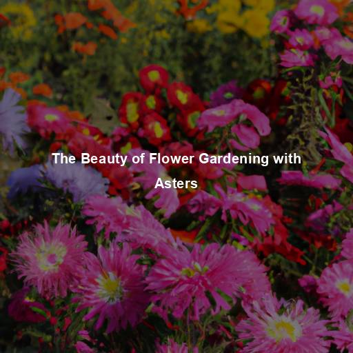 The Beauty of Flower Gardening with Asters