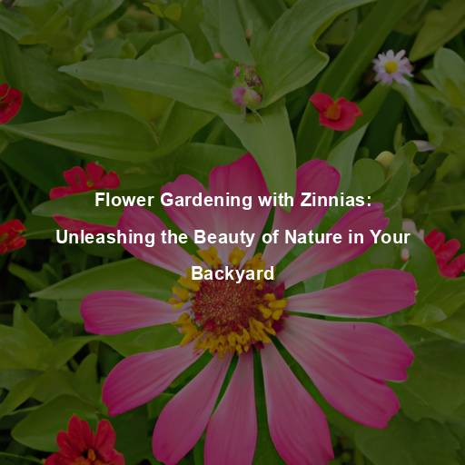 Flower Gardening with Zinnias: Unleashing the Beauty of Nature in Your Backyard