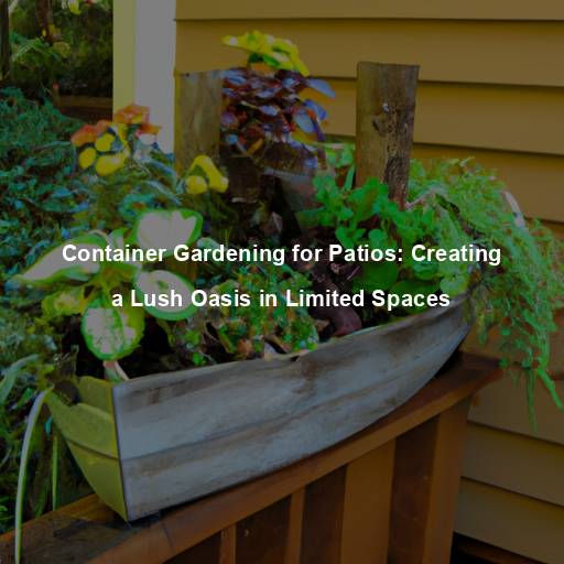 Container Gardening for Patios: Creating a Lush Oasis in Limited Spaces