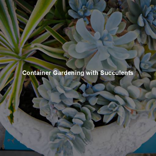 Container Gardening with Succulents